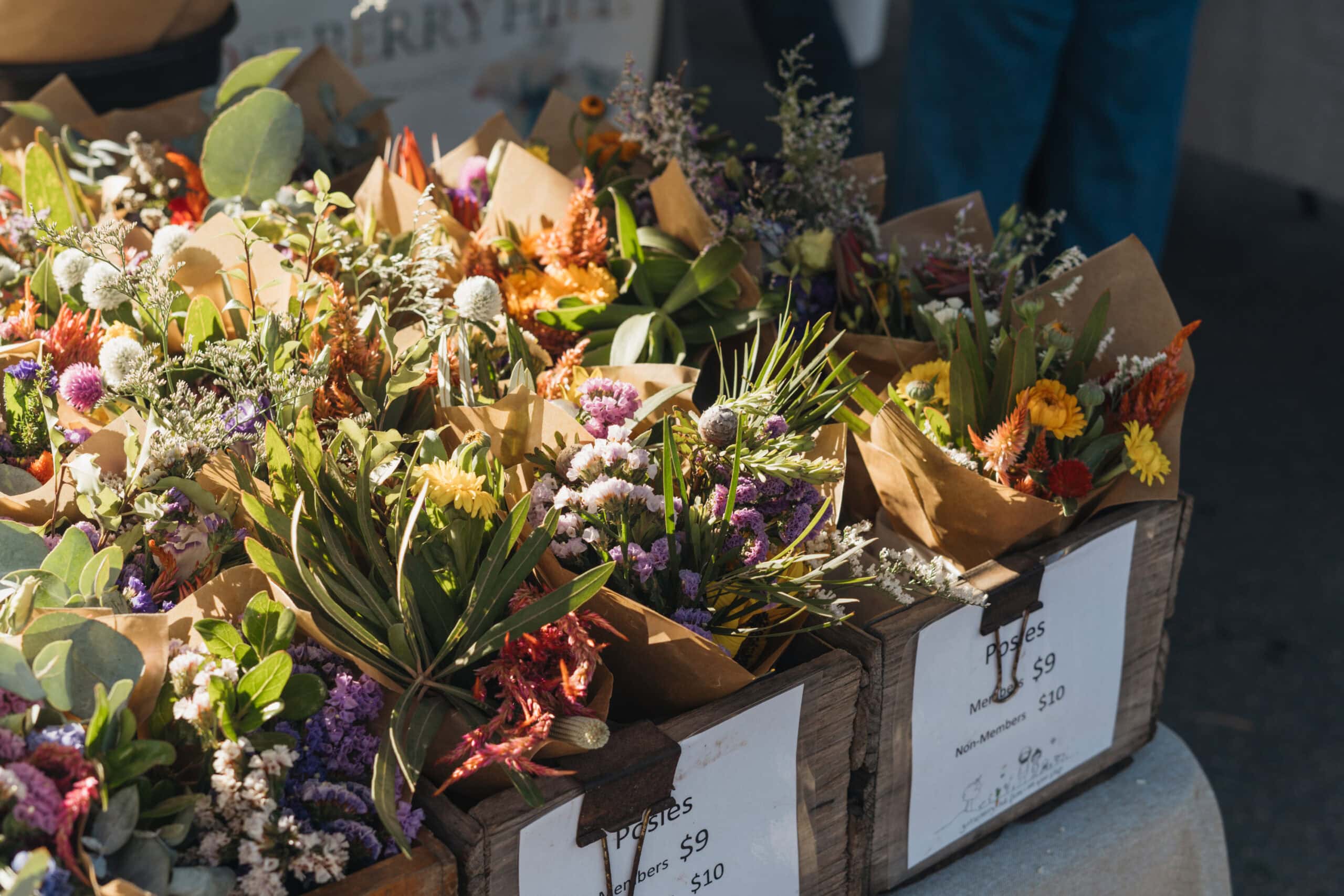 willunga-farmers-market-22-Sitchu