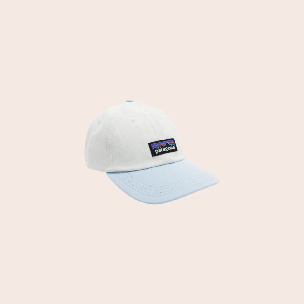 Patagonia P-6 Label Trad Cap