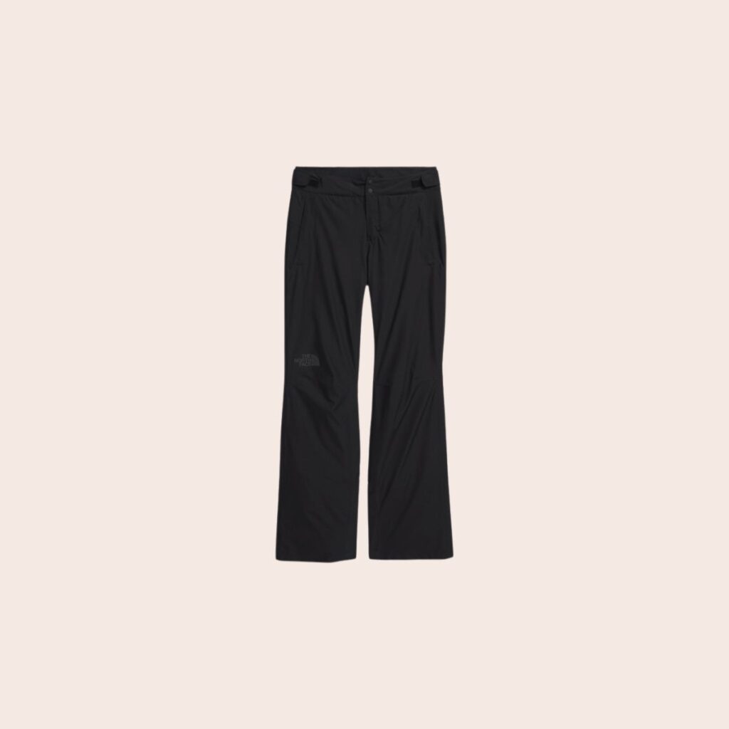The North Face Descendit Ski Pants The North Face Descendit Ski Pants