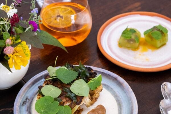 The Hidden Gems of The Scenic Rim