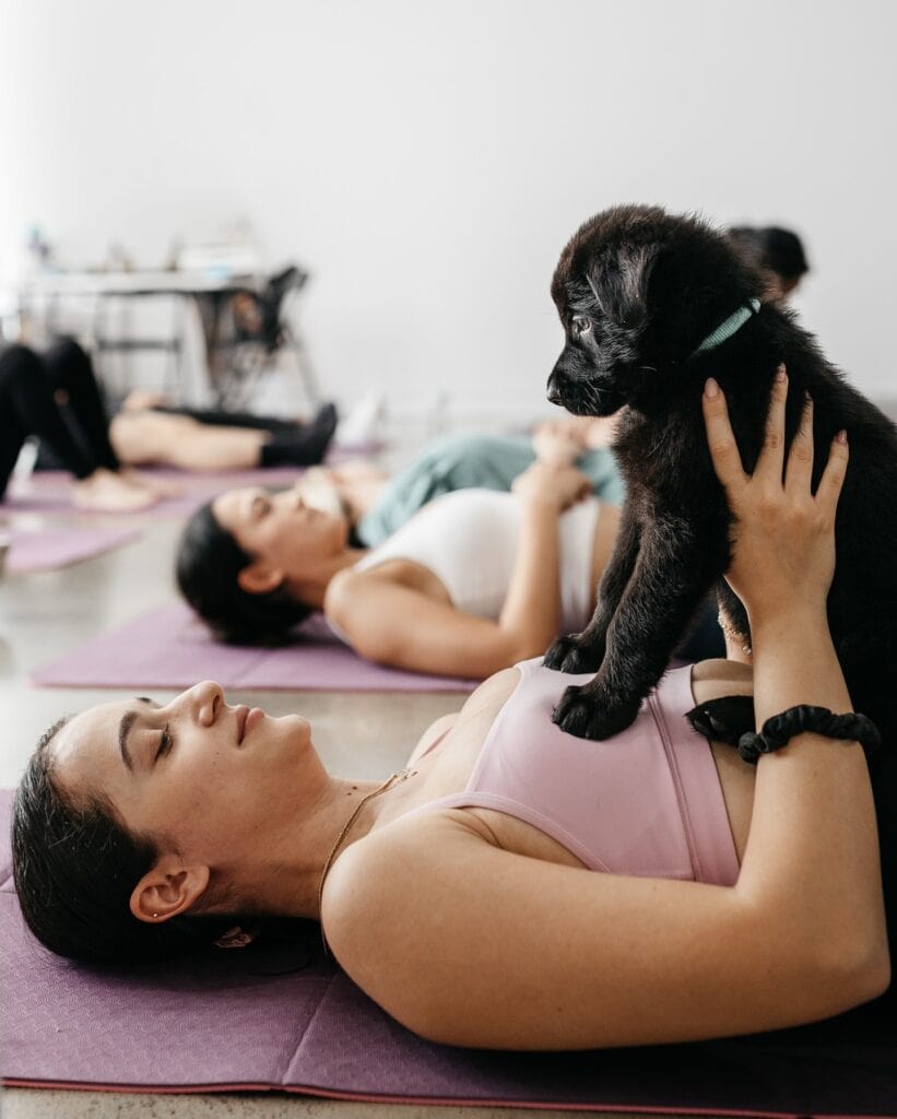 Yoga Paws comes to Adelaide, South Australia.