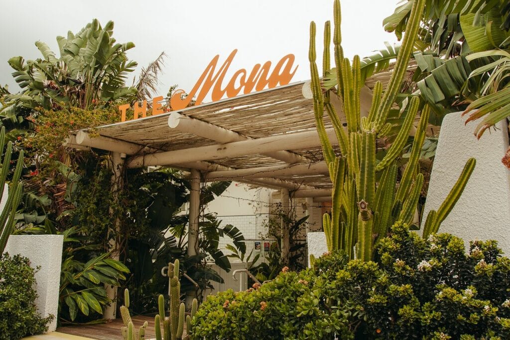 Entrance signage with cactus garden at The Mona Vale Hotel Mona Vale Sydney
