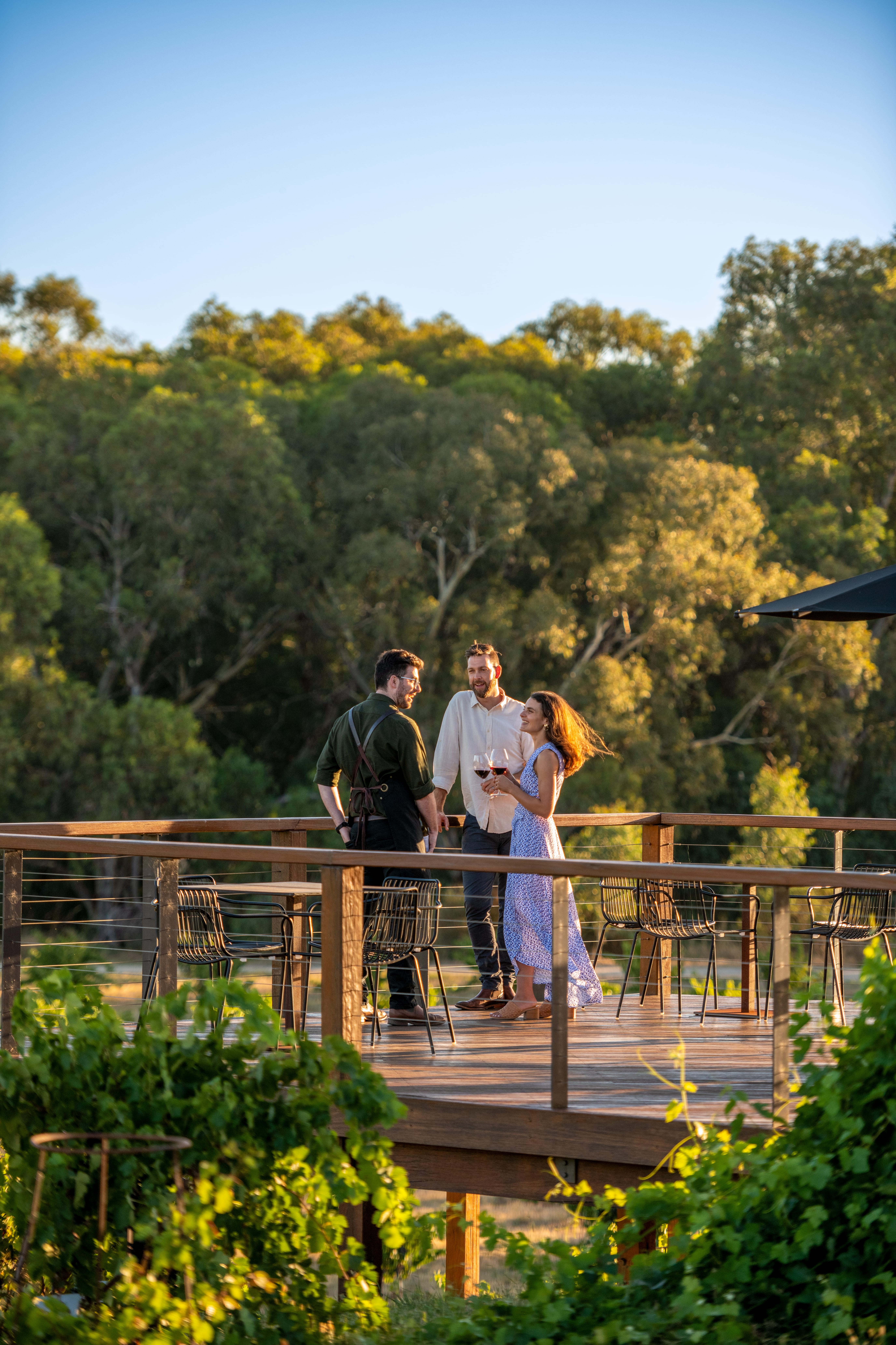 Exterior at St Hugo Wines in the Barossa Valley.