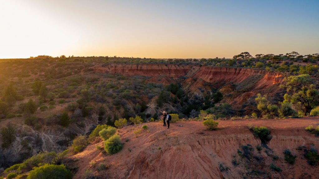 Murray River Walk in SA.