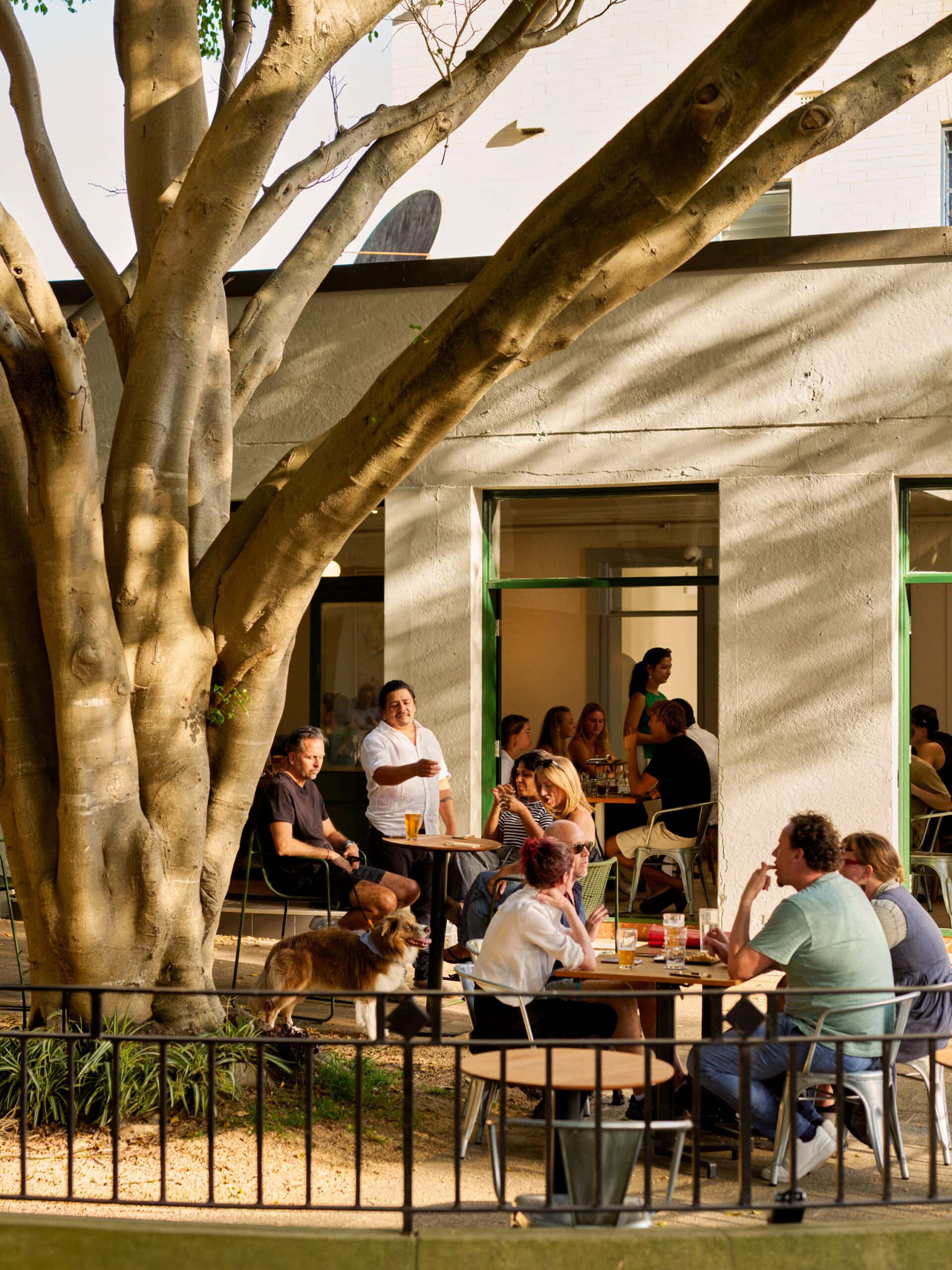 captain cook hotel laneway beer garden next to a big tree with people sitting and drinking
