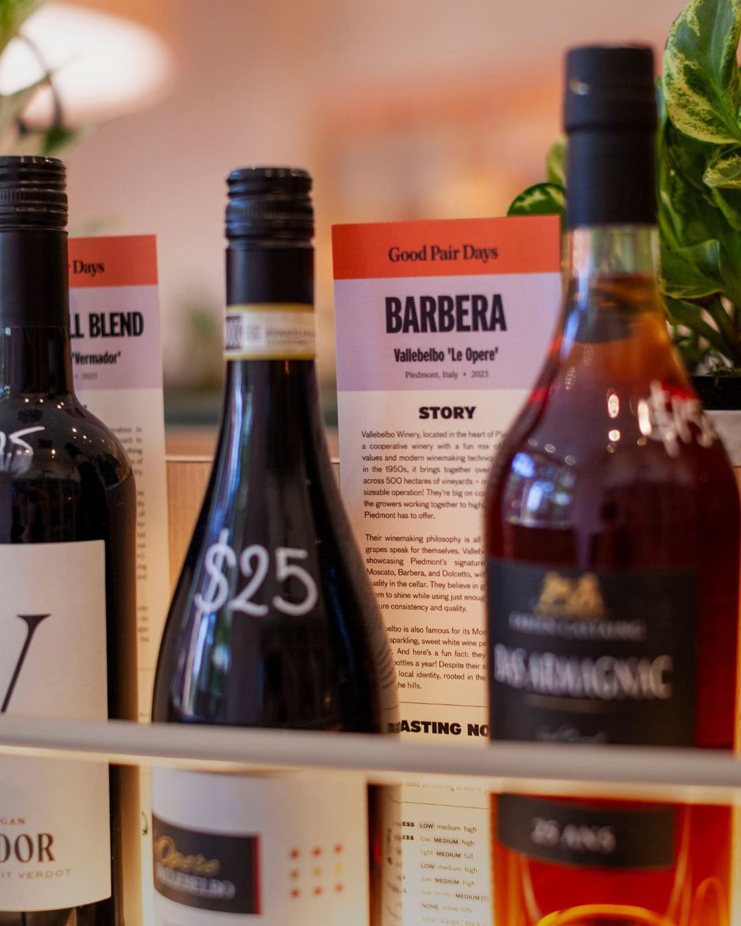 good pair days wine bar interiors in surry hills