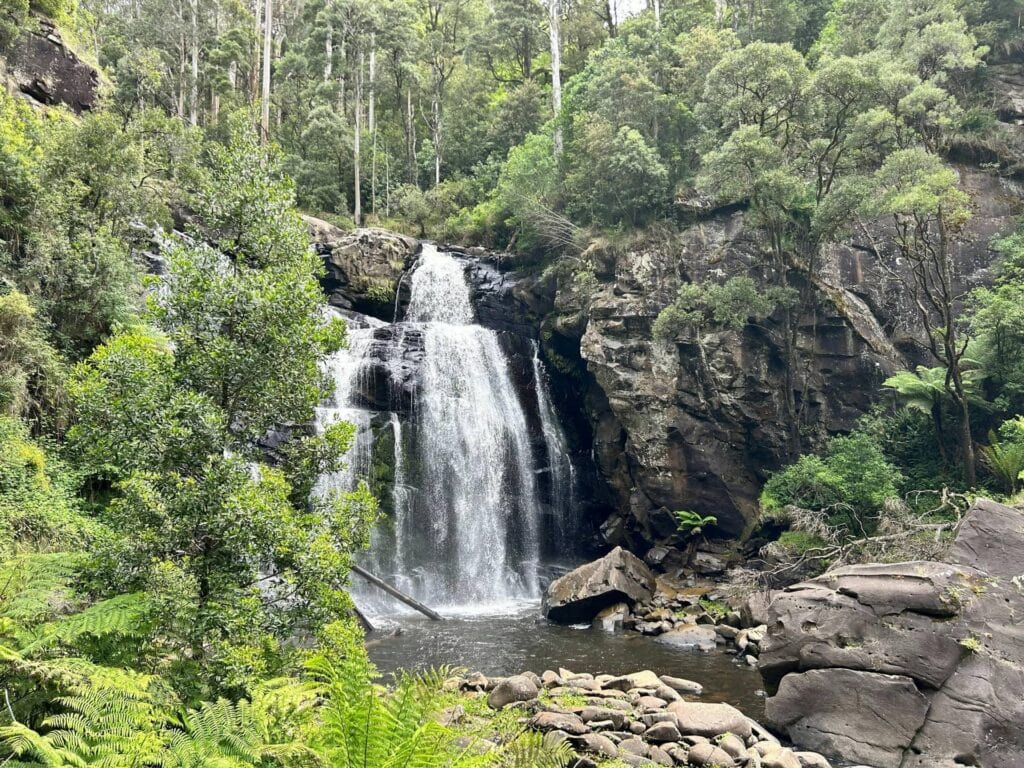 stevensons falls visit great ocean road