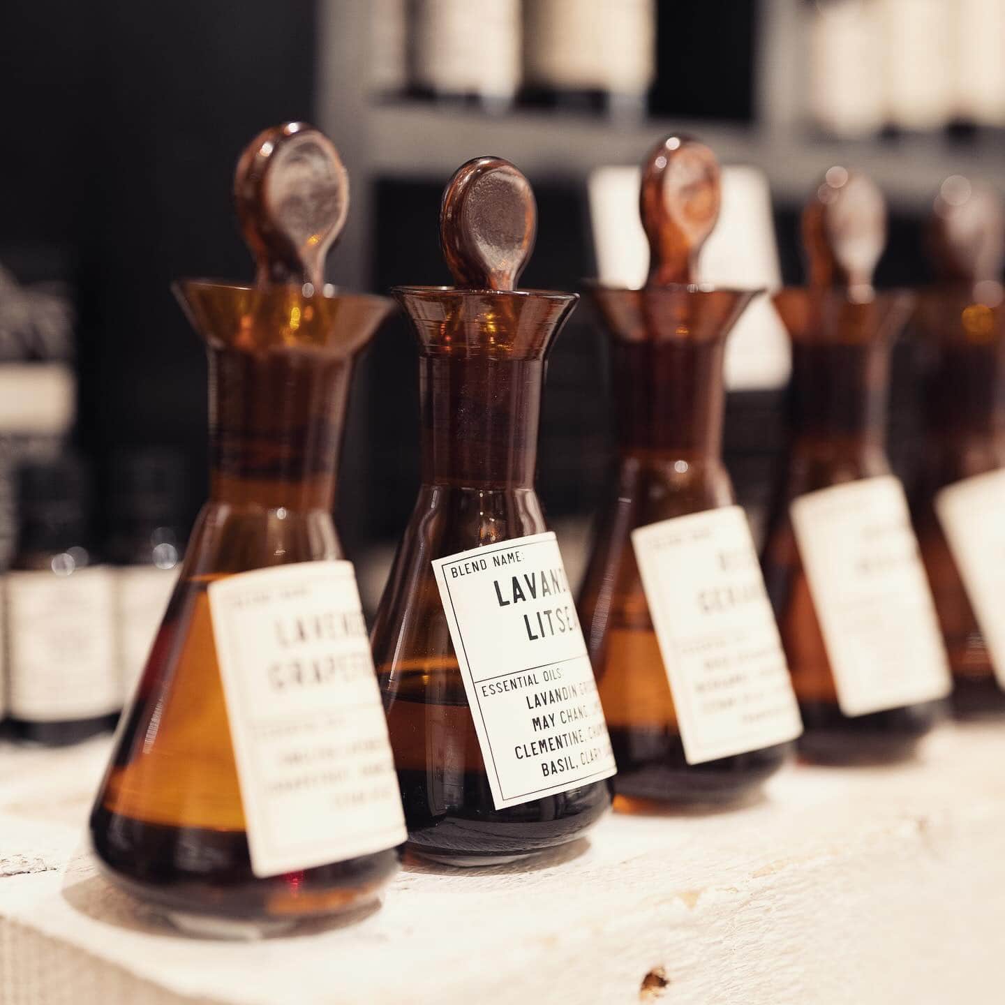 446198241_7965980543489821_7314288350770310832_n