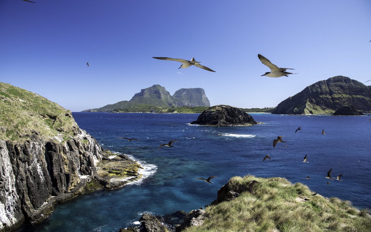 The Wild Destination Few People Get To See