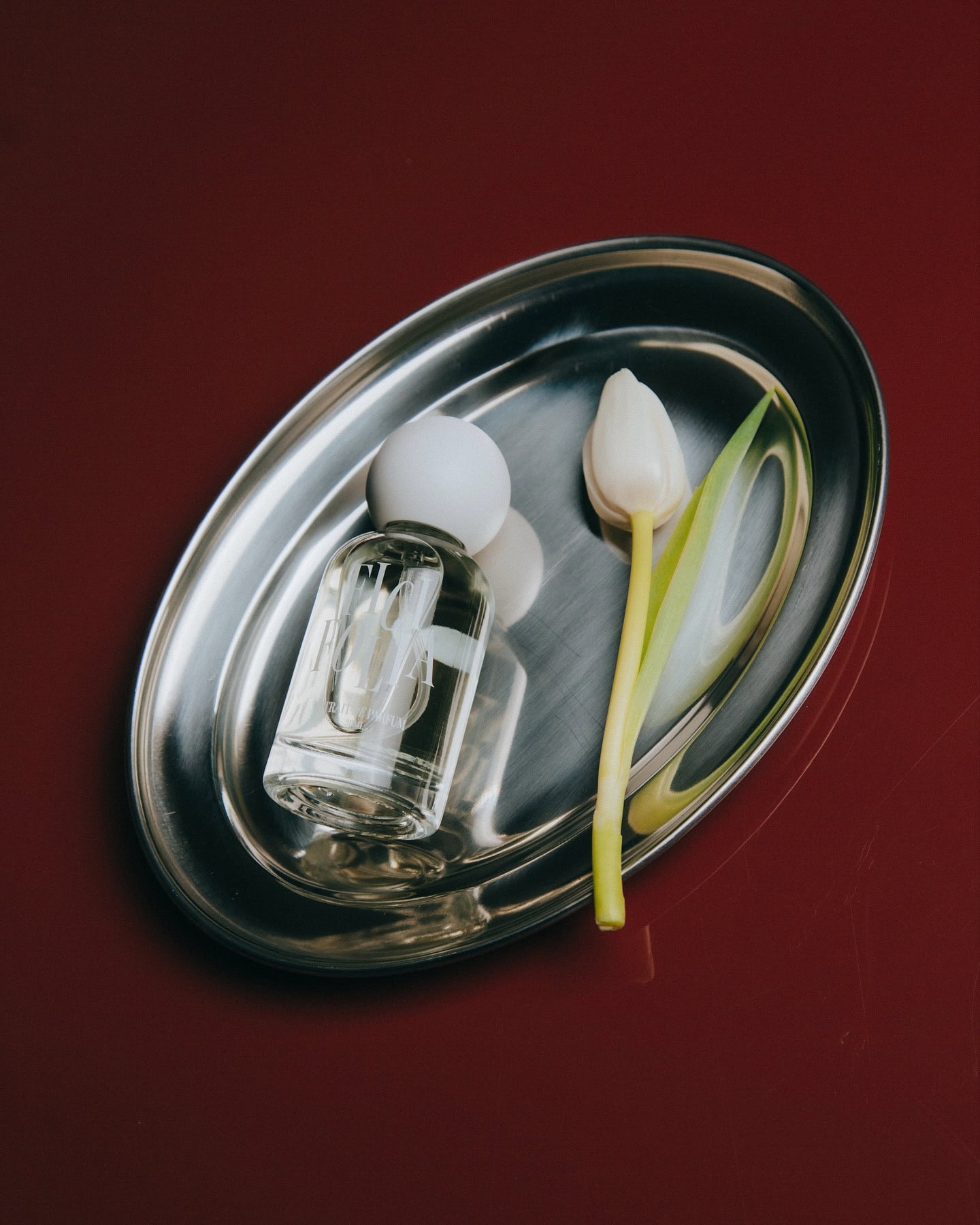 ficifolia fragrances (4)