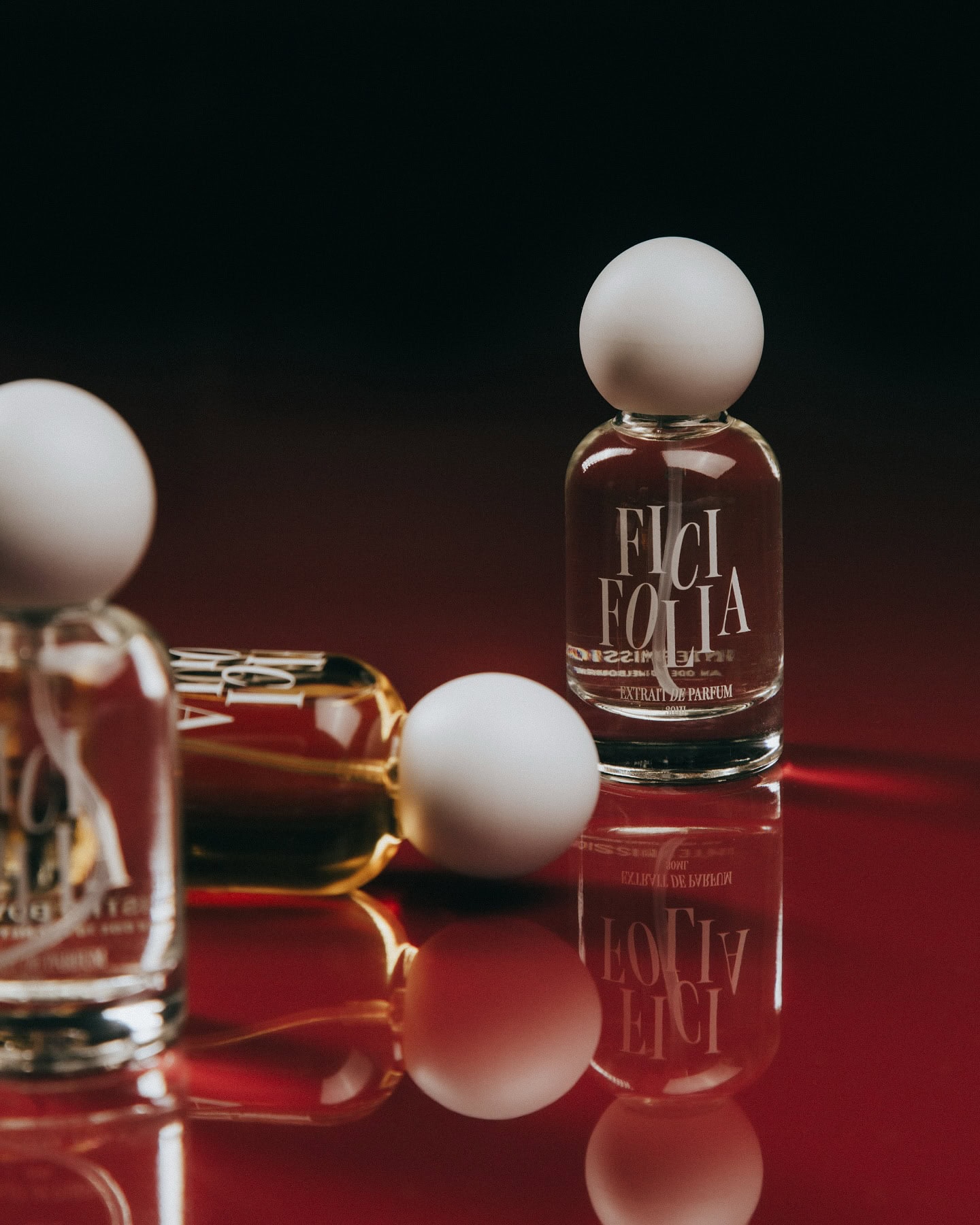 ficifolia fragrances (7)