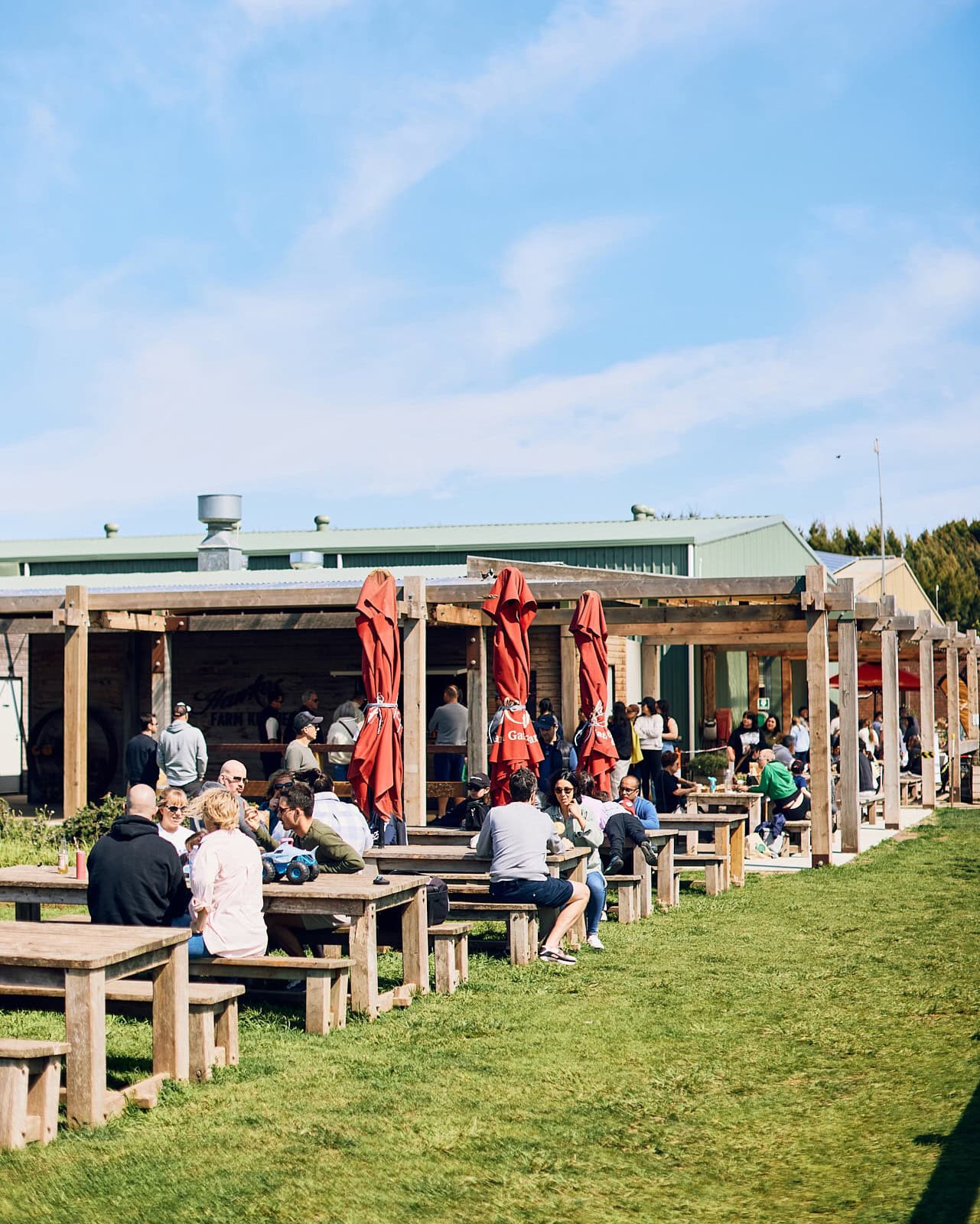 hawkes farm boneo (2)