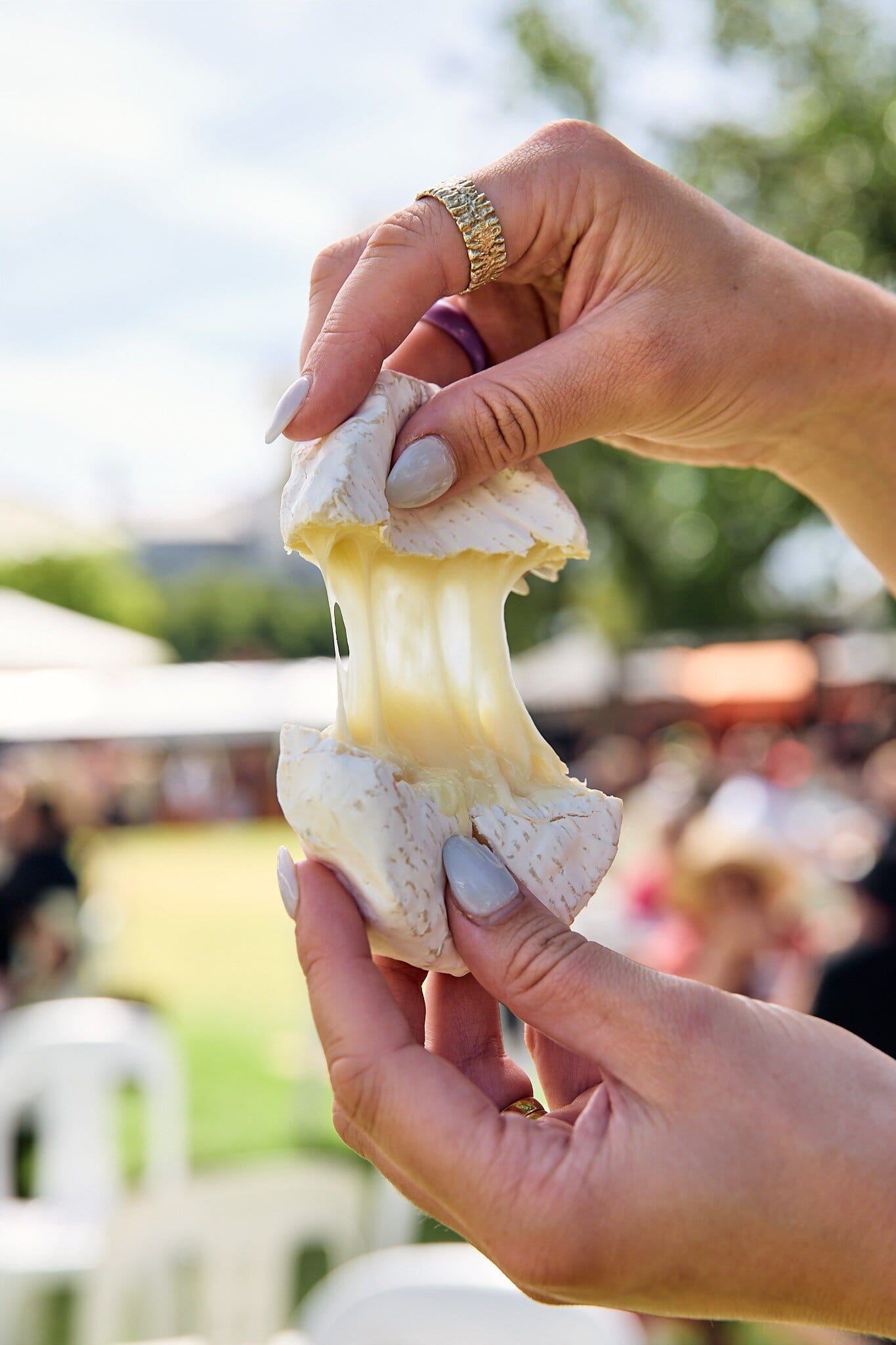 CheeseFest, Adelaide