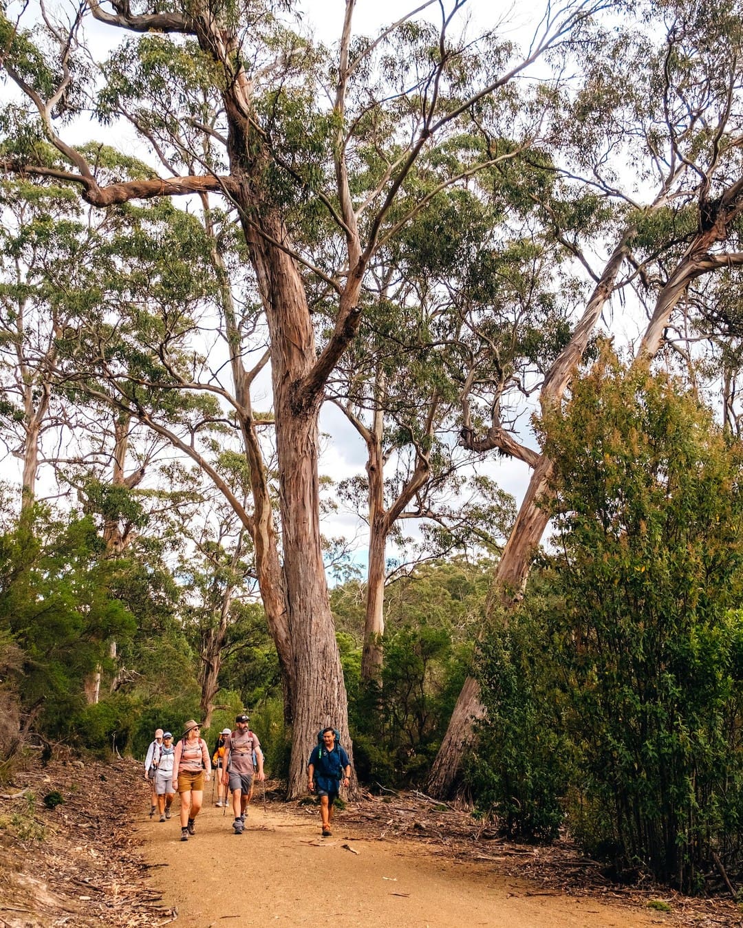 maria island walk (8)