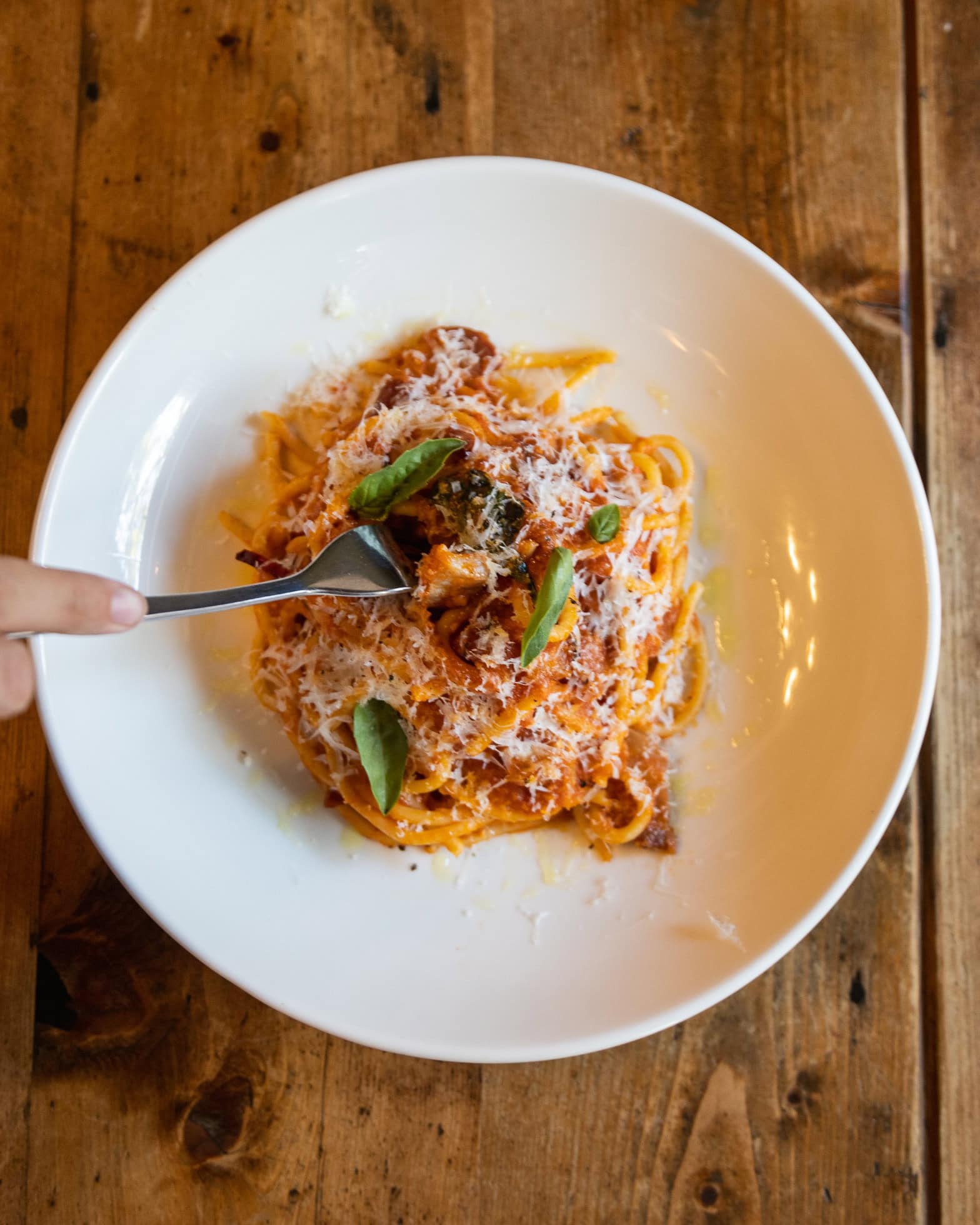 Spaghetti in tomato sauce with pancetta, parmesan and basil at Funkatello, Darlinghurst, Sydney