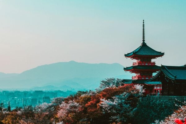 $55 Flights You Have to See To Believe