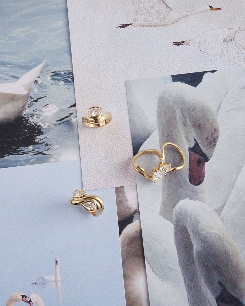 swan-collection-on-swans-flatlay class a jewellers