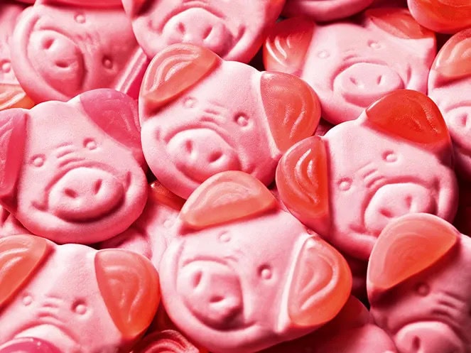 percy pigs