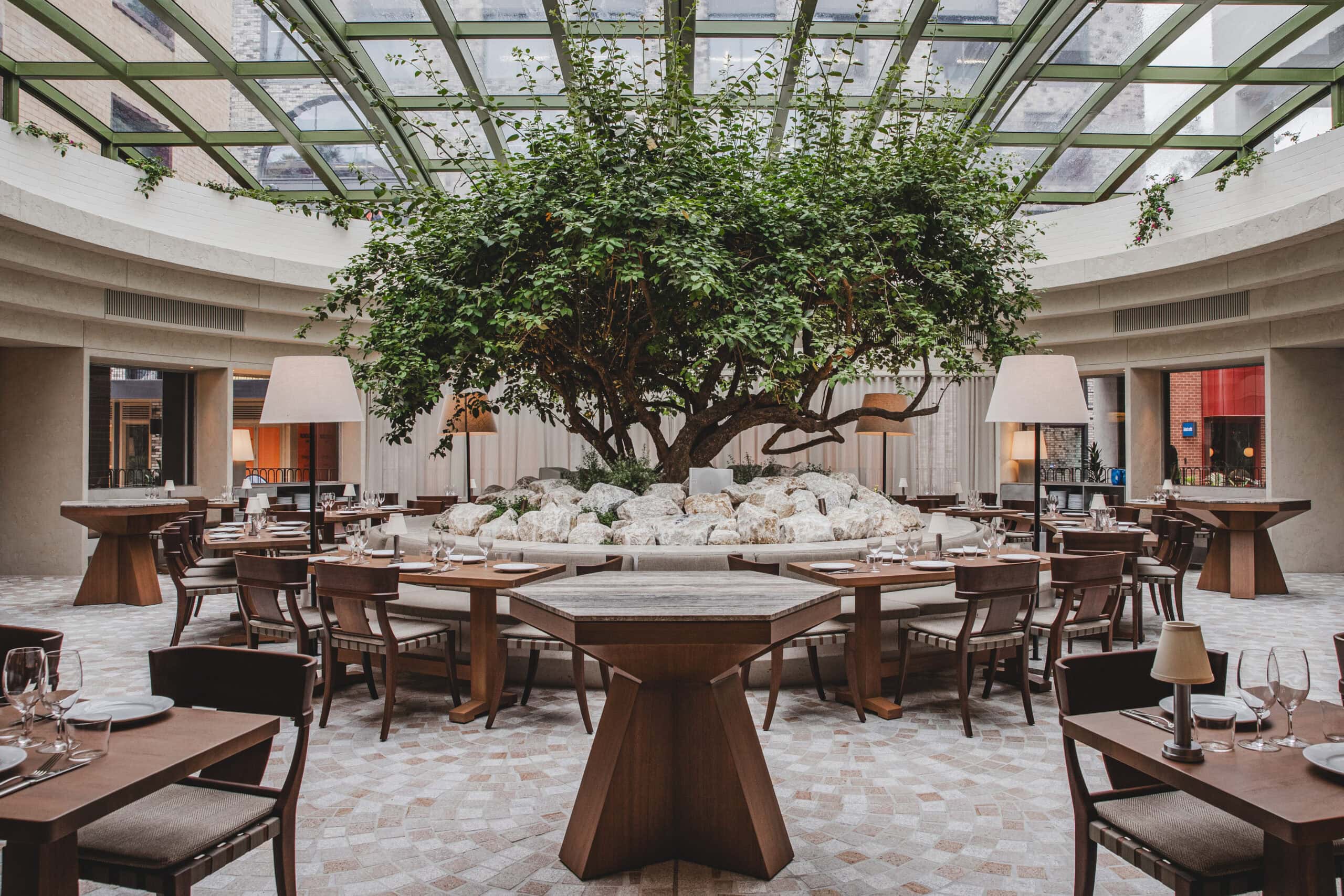 Olympus Restaurant interior with 50 year old tree under glass roof Redfern Sydney Sitchu Awards 2025 Best New Restaurant Opening winner