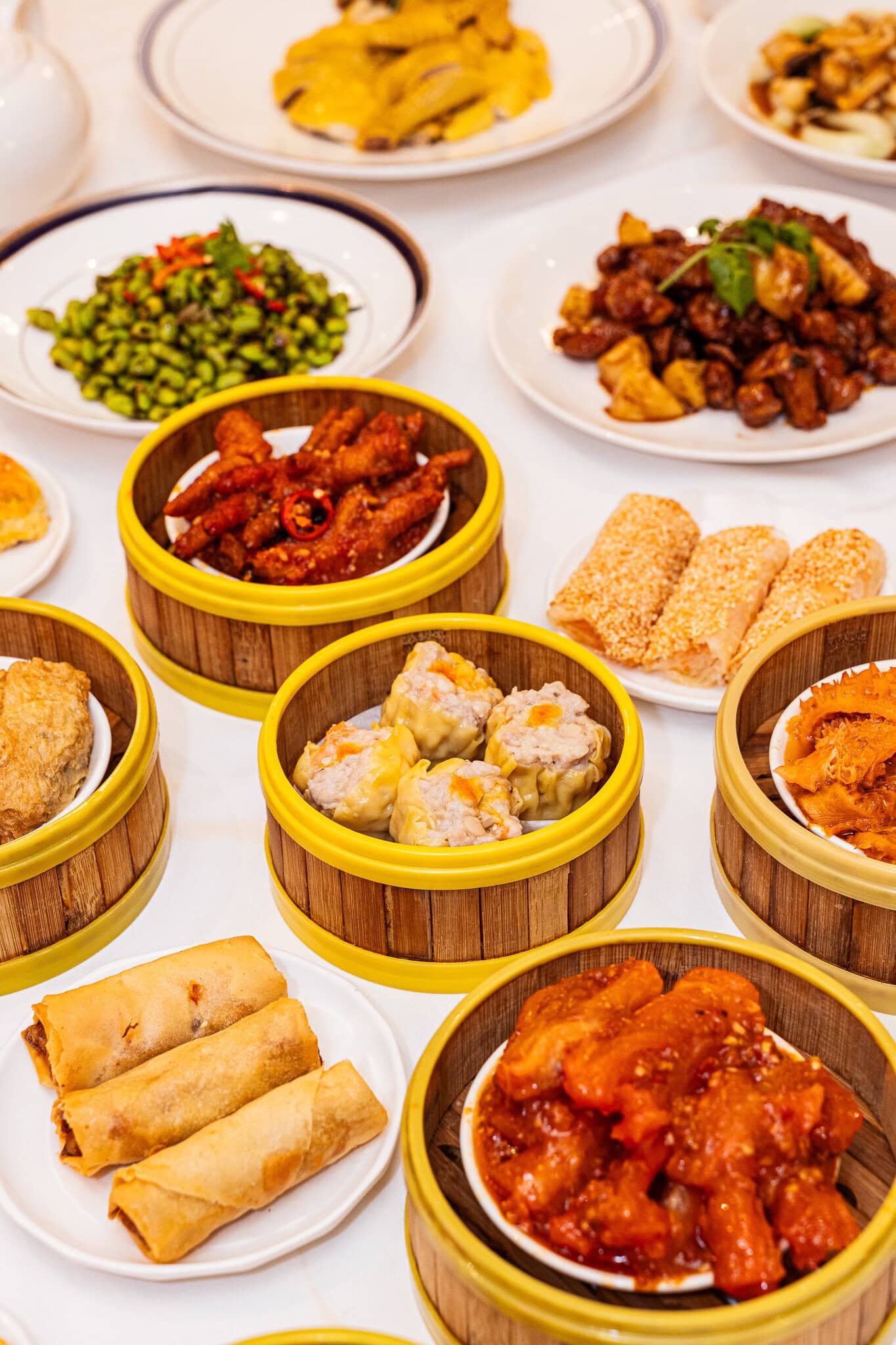 dumplings and spring roll offering from diamond territory yum cha sydney cbd