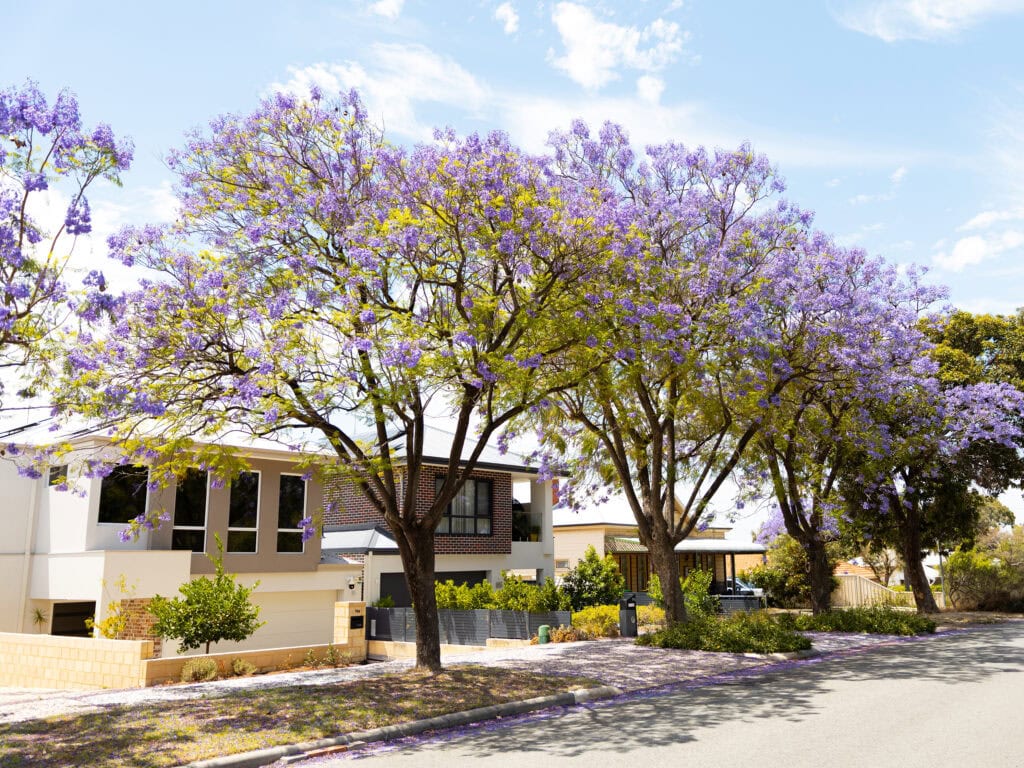 sitchu-bassendean-township