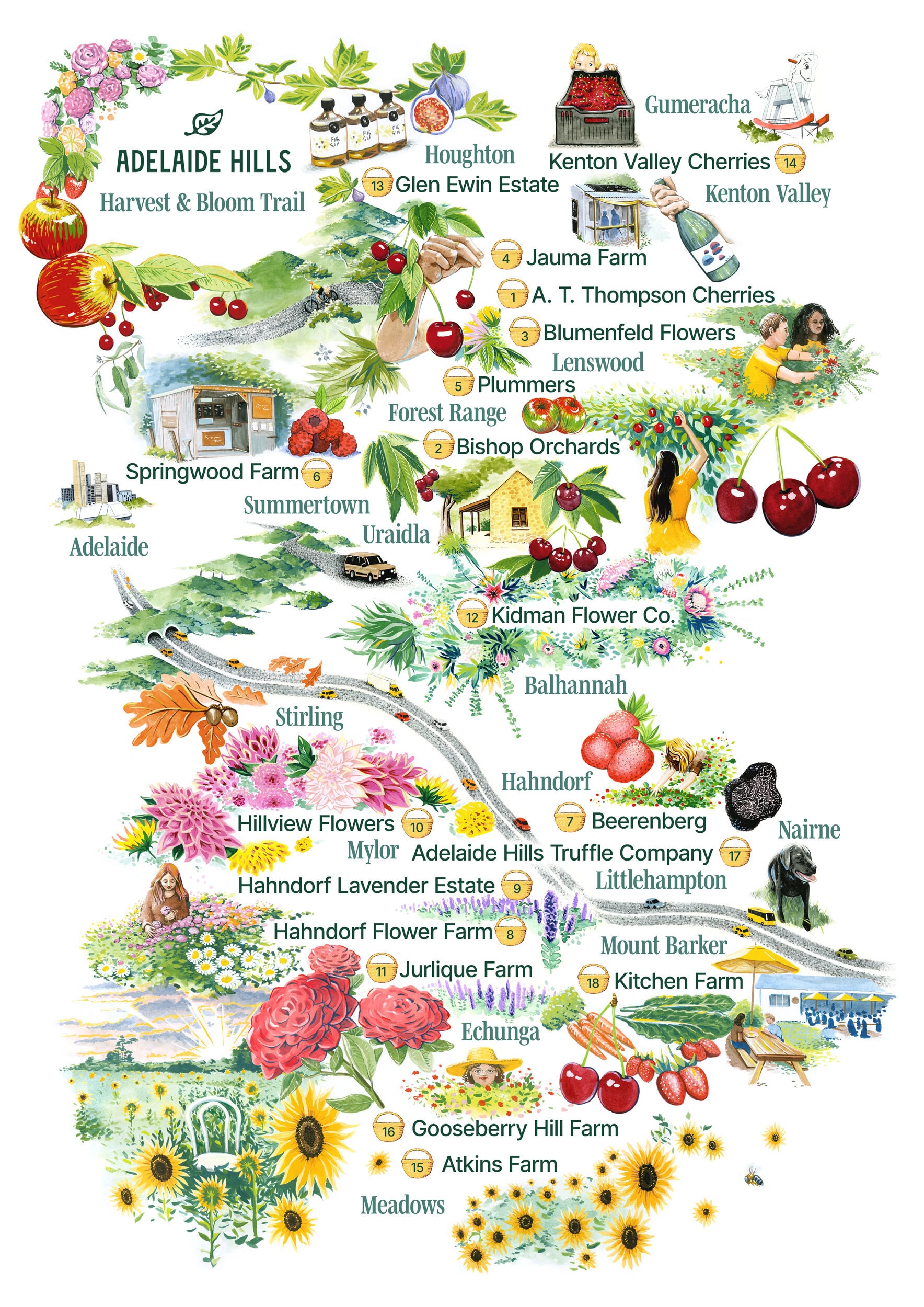 Adelaide Hills Harvest & Bloom Trail map.