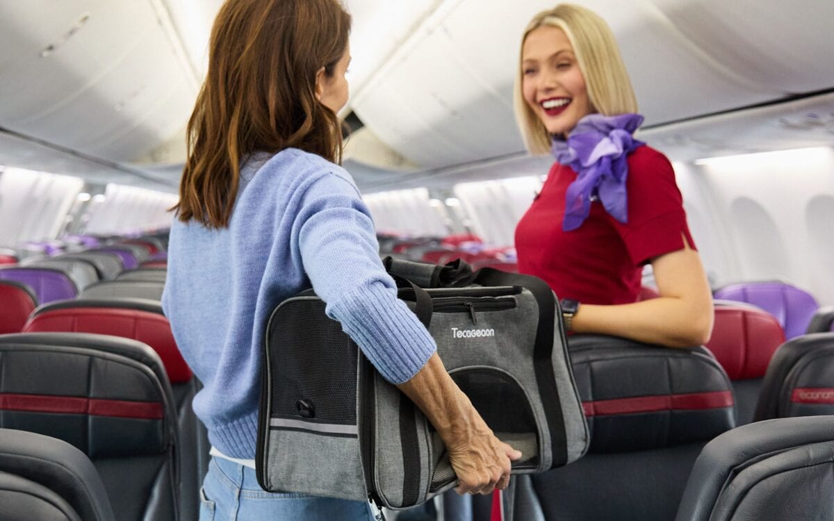 Virgin's Pet‑Friendly Flights Land in Adelaide