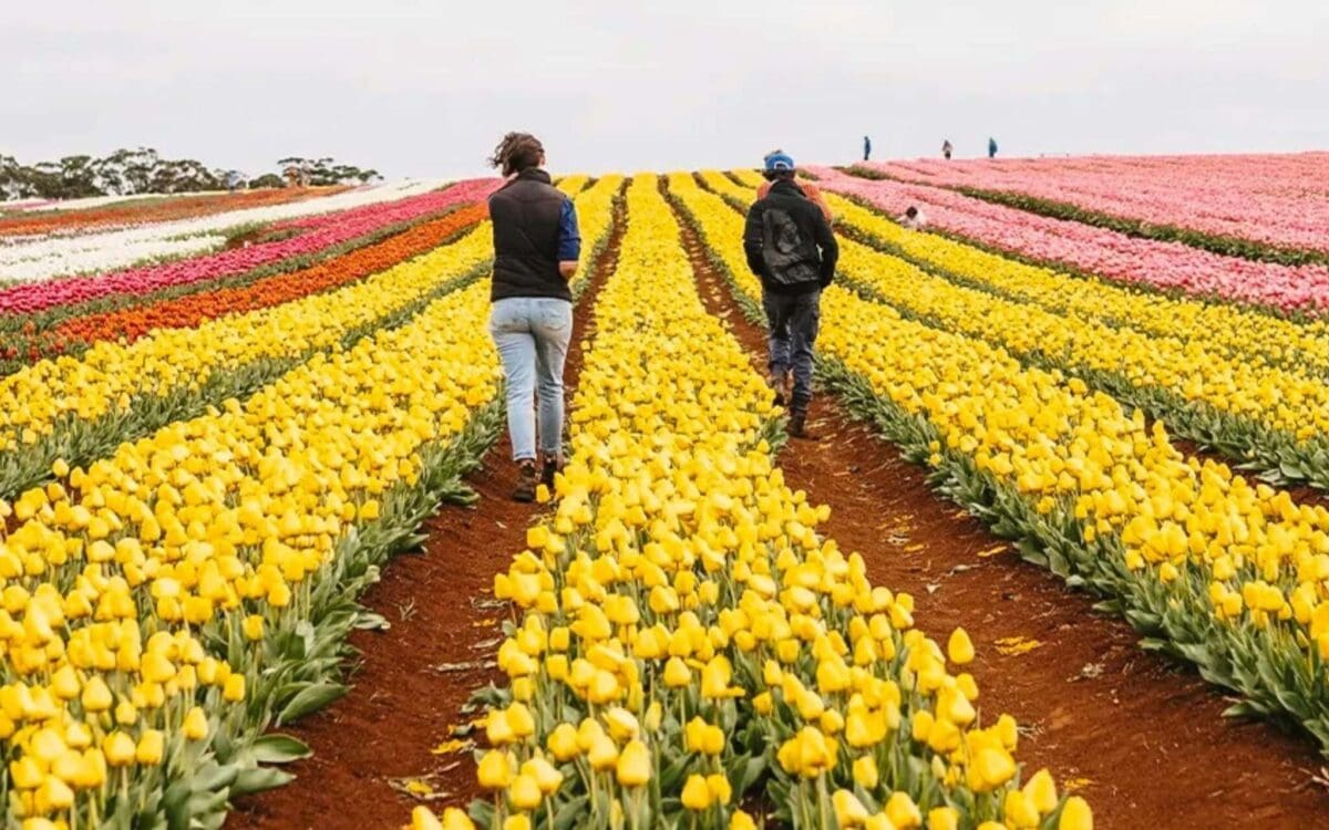 This $45 Flight Sale Is Too Good to Ignore