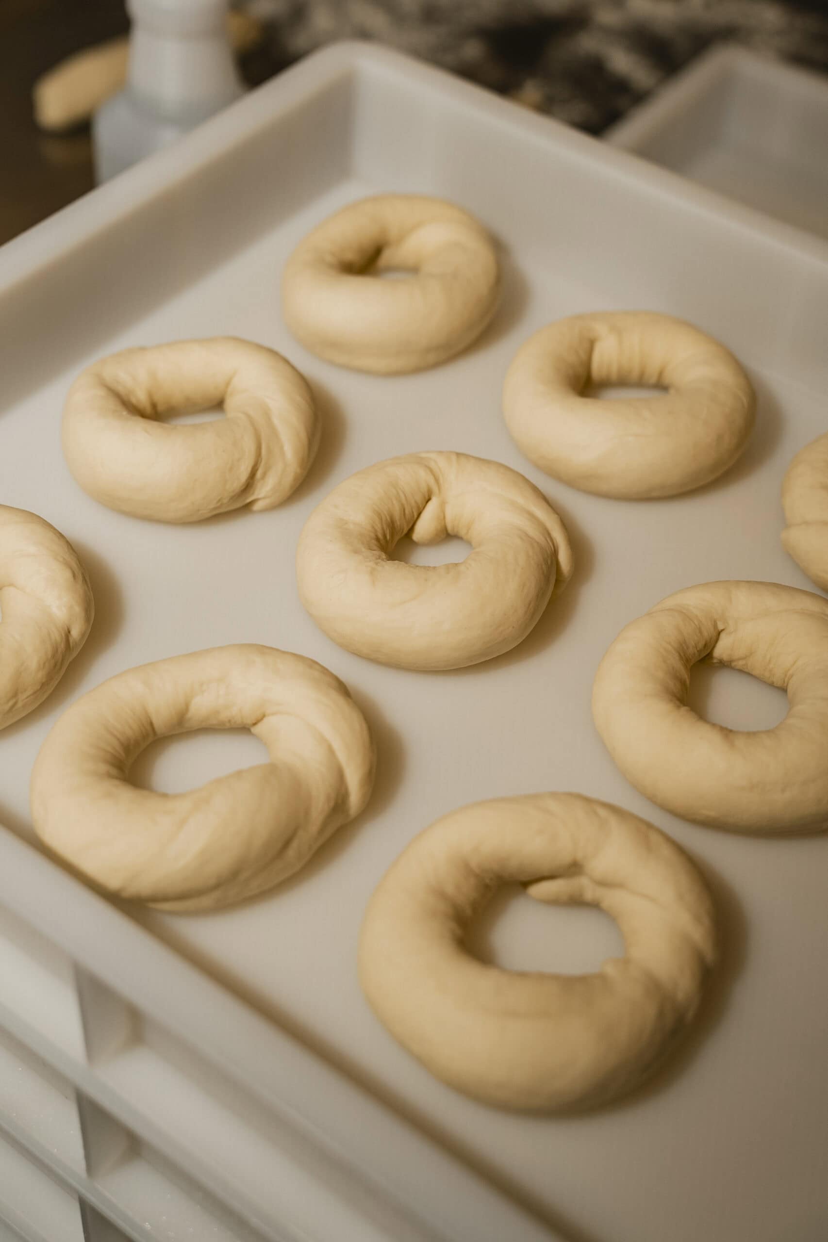 Bagel dough on tray at Frankly Bagels in Adelaide.