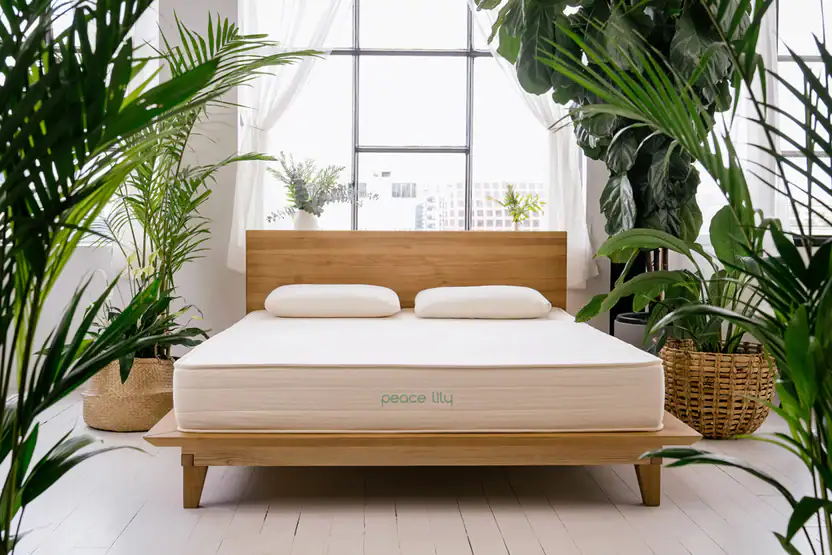 Peace Lily Latex Mattress