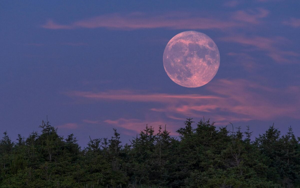 The Strawberry Moon Is Putting on Its Best Show To