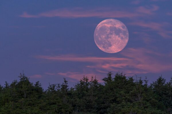 The Strawberry Moon Is Putting on Its Best Show To