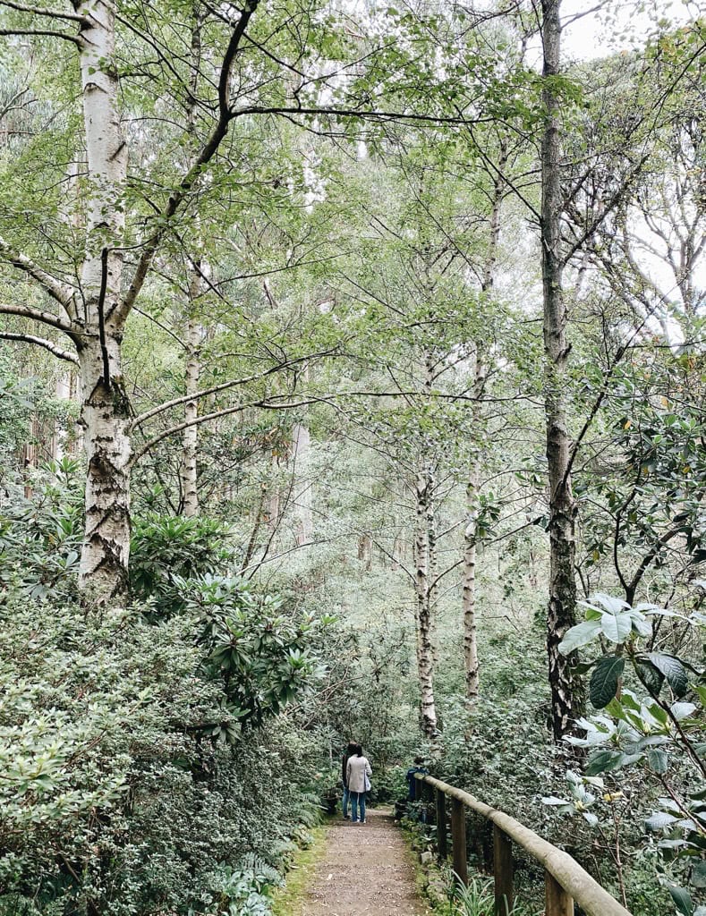 Forest Glade Gardens Mount Macedon