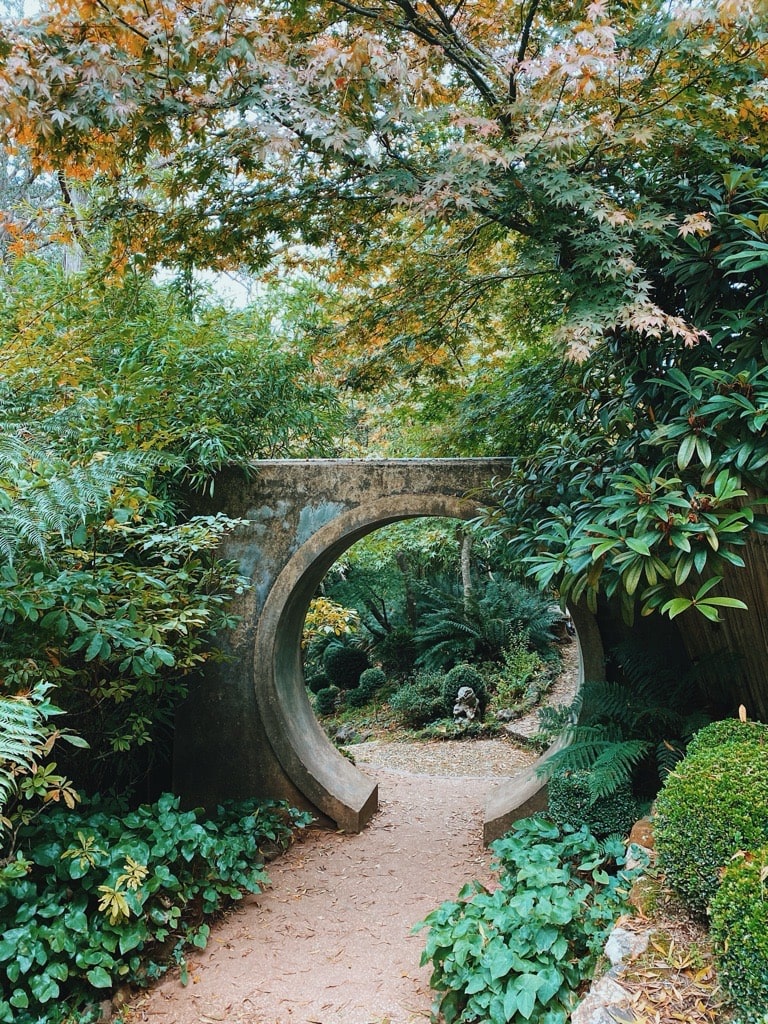 Forest Glade Gardens Mount Macedon