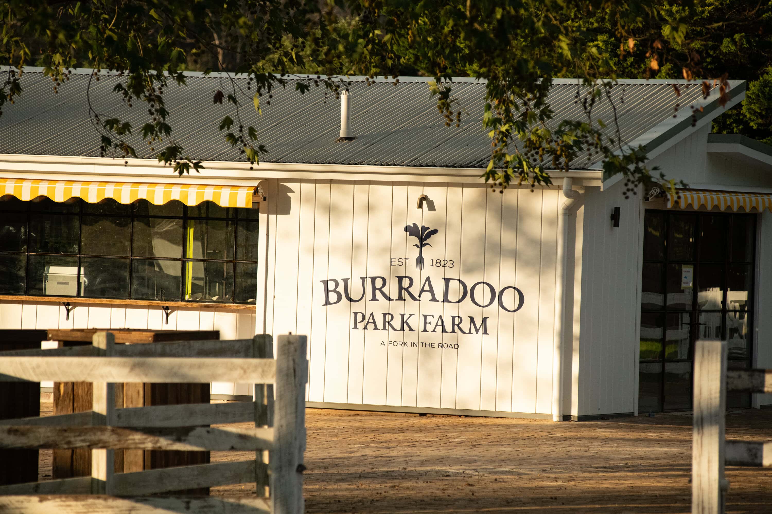 three blue ducks burradoo