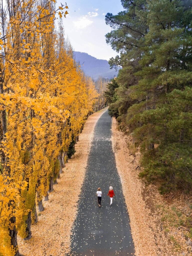 Autumn in New Norfolk (Image Credit: Jamie Douros & Camille Helm for Discover Tasmania)