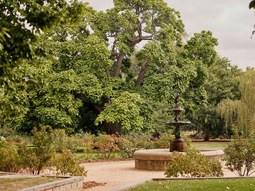 castlemaine botanic gardens visit victoria
