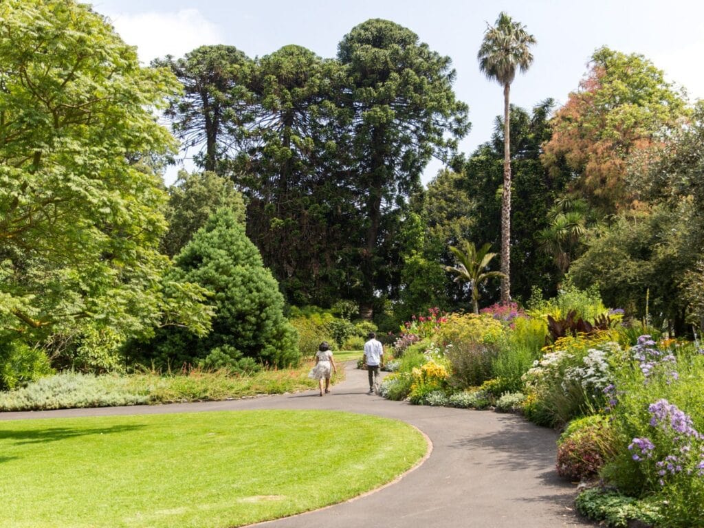 geelong botanic gardens visit victoria