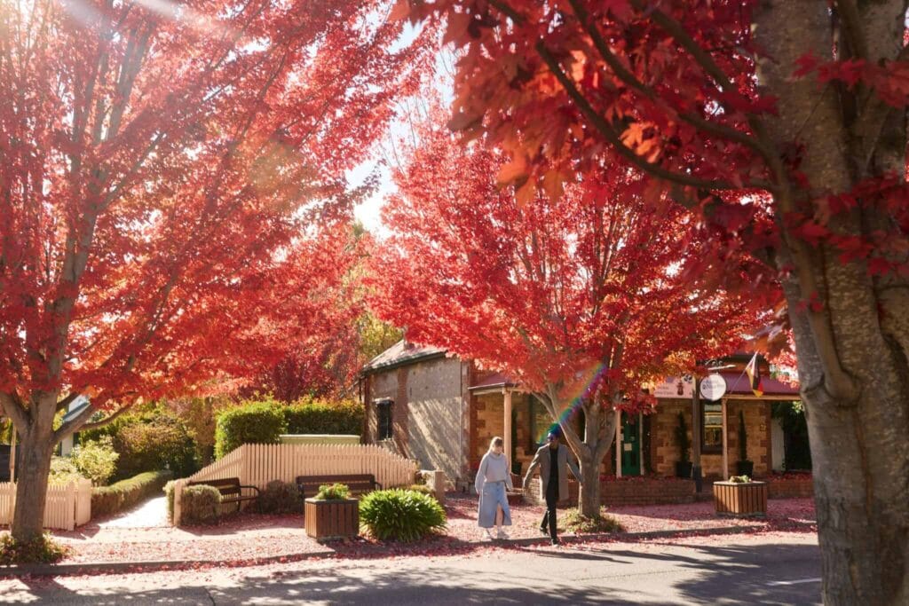 A couple strolling along the main street of Hahndorf in the Adelaide Hills, framed by red autumn trees and historic stone buildings.
