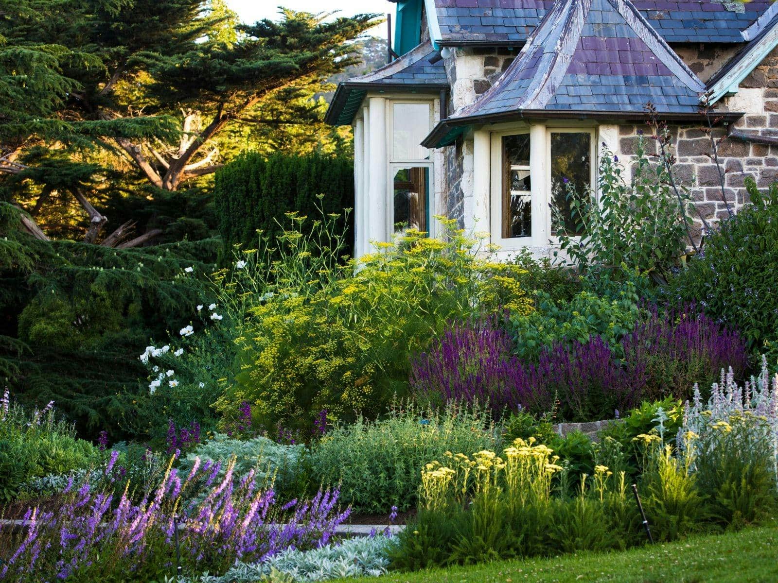 heronswood gardens mornington peninsula visit victoria