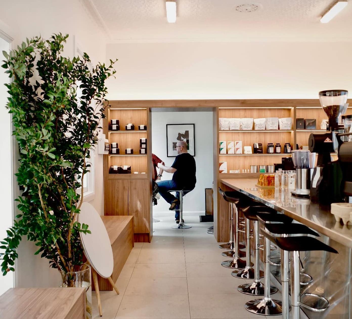 cafe interior with coffee bar and shelving at Only Coffee Project Crows Nest Sydney