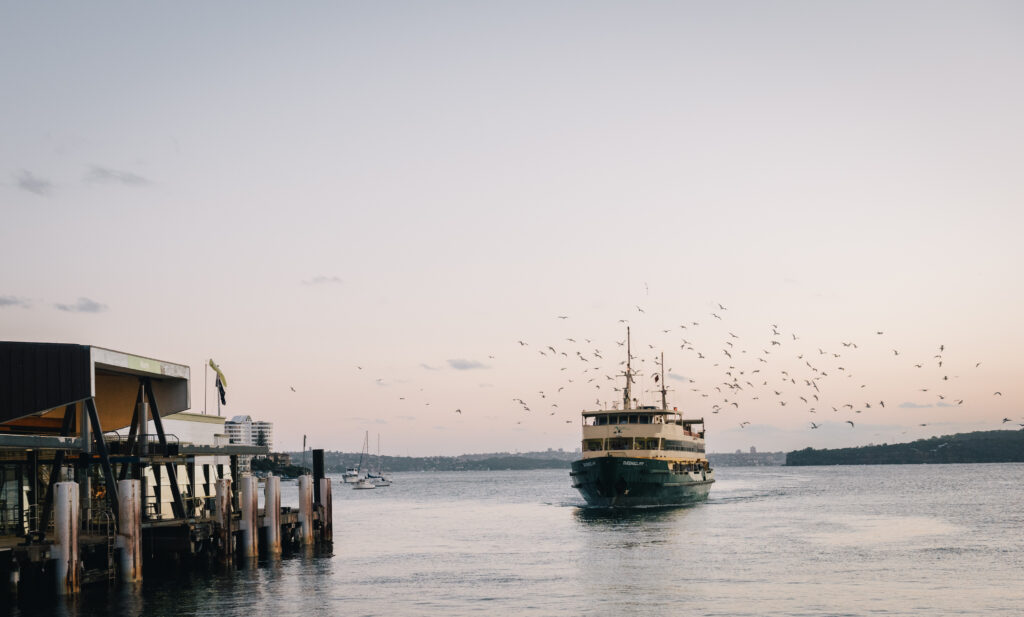 The Manly ferry pulling into the wharf at dusk, surrounded by seagulls.