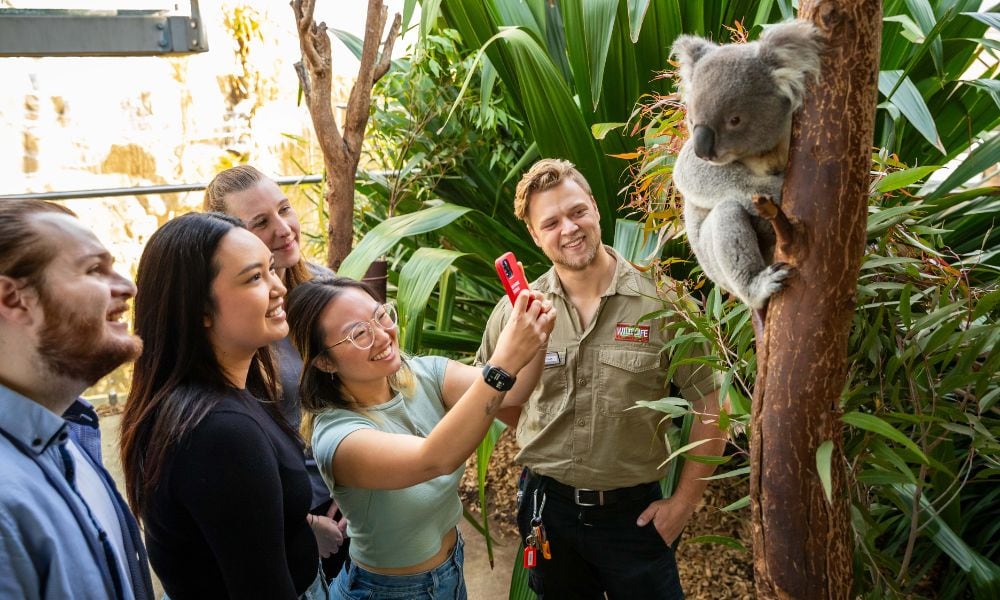 Visitors taking a selfie with a koala and wildlife keeper at WILD LIFE Sydney Zoo Darling Harbour Sydney