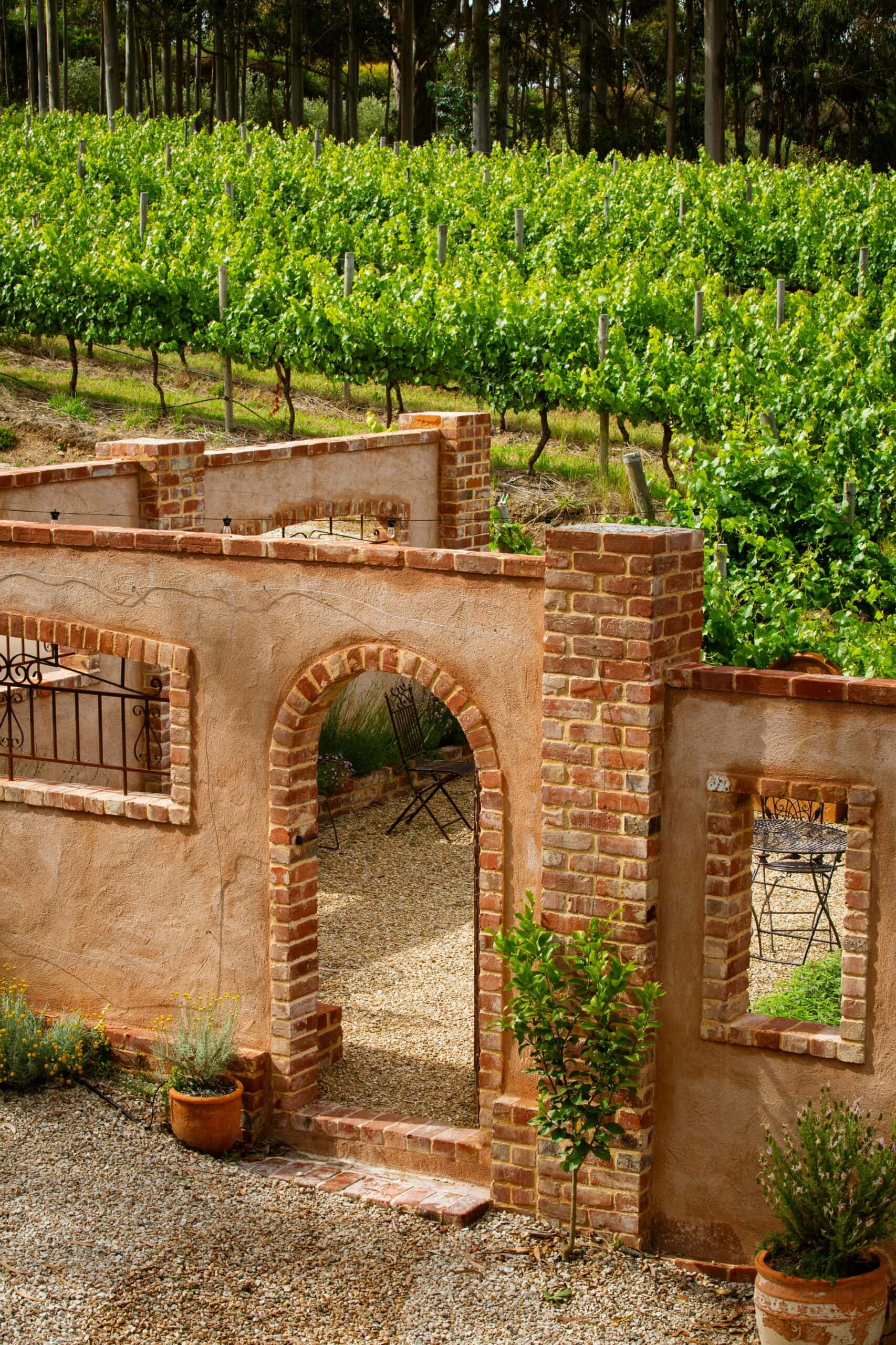 Exterior of Between the Vines Cellar Door in Adelaide Hills.