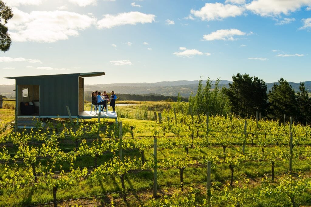 Guests overlooking the vineyard at The Lane Vineyard in the Adelaide Hills.