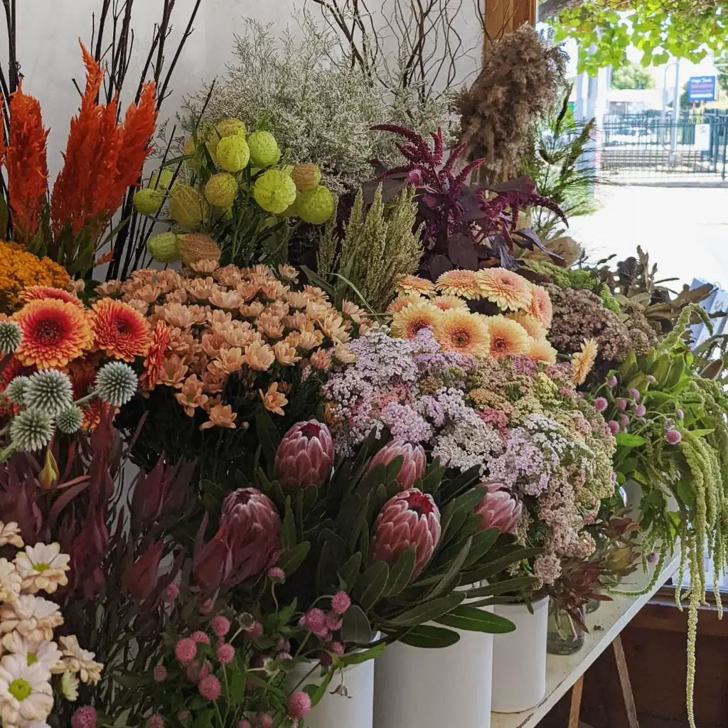 Wilderstems in Adelaide.