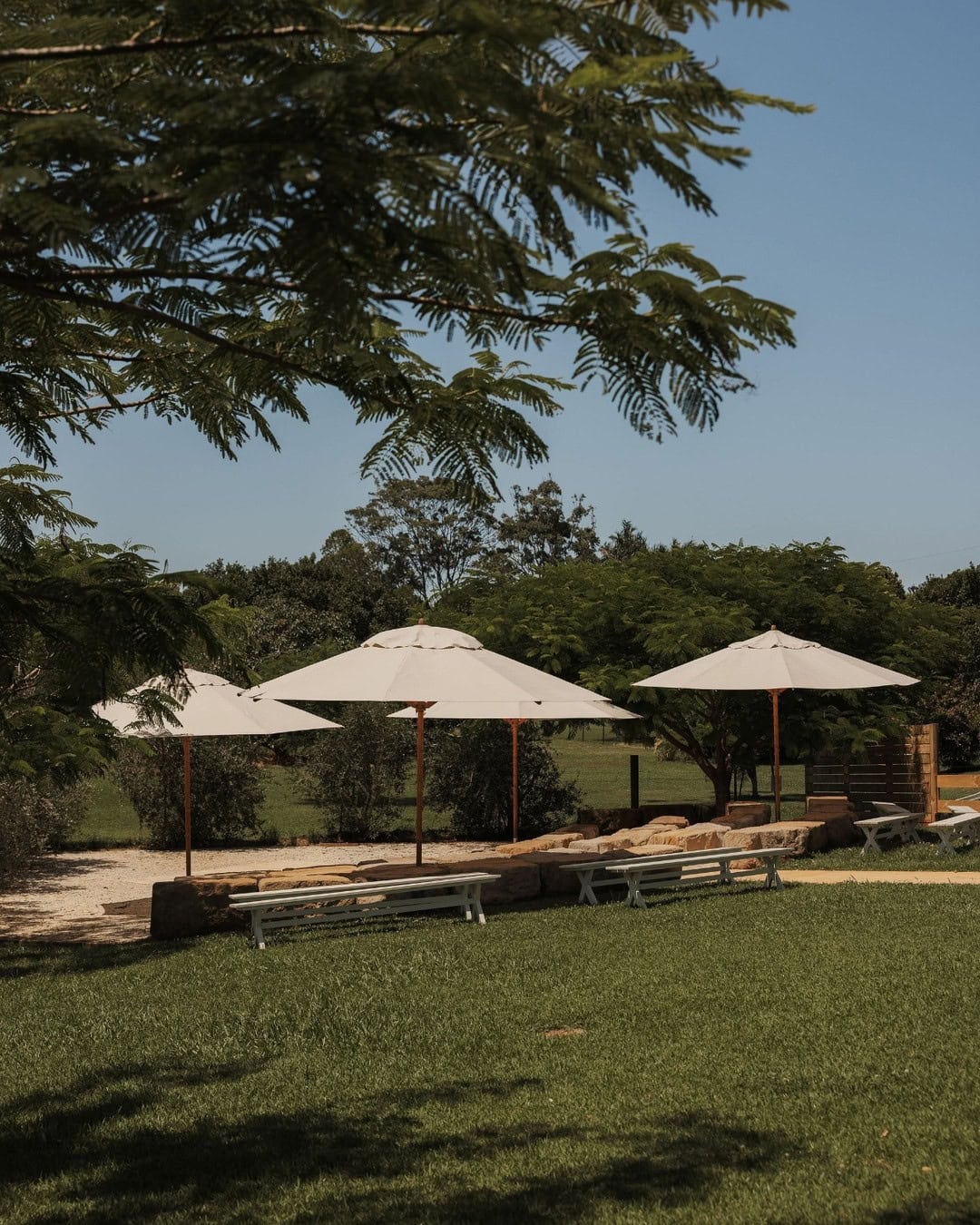 Farm & Co (7)