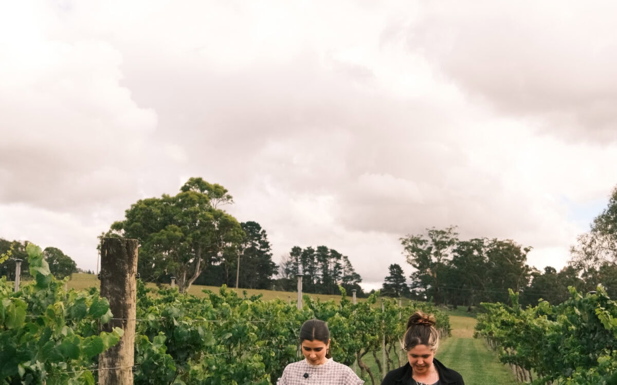 This Southern Highlands Itinerary? Pure Bliss