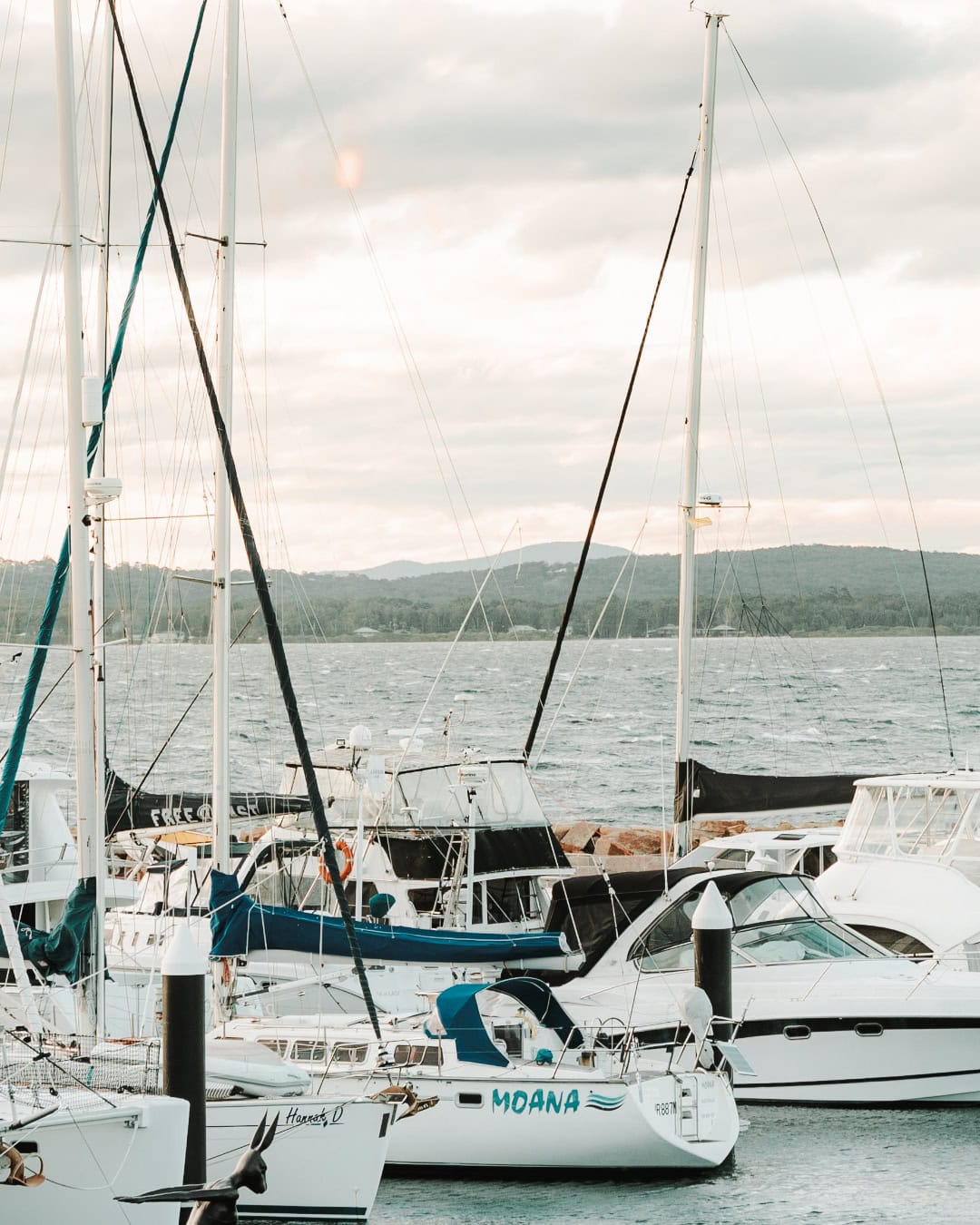 the anchorage port stephens (21)