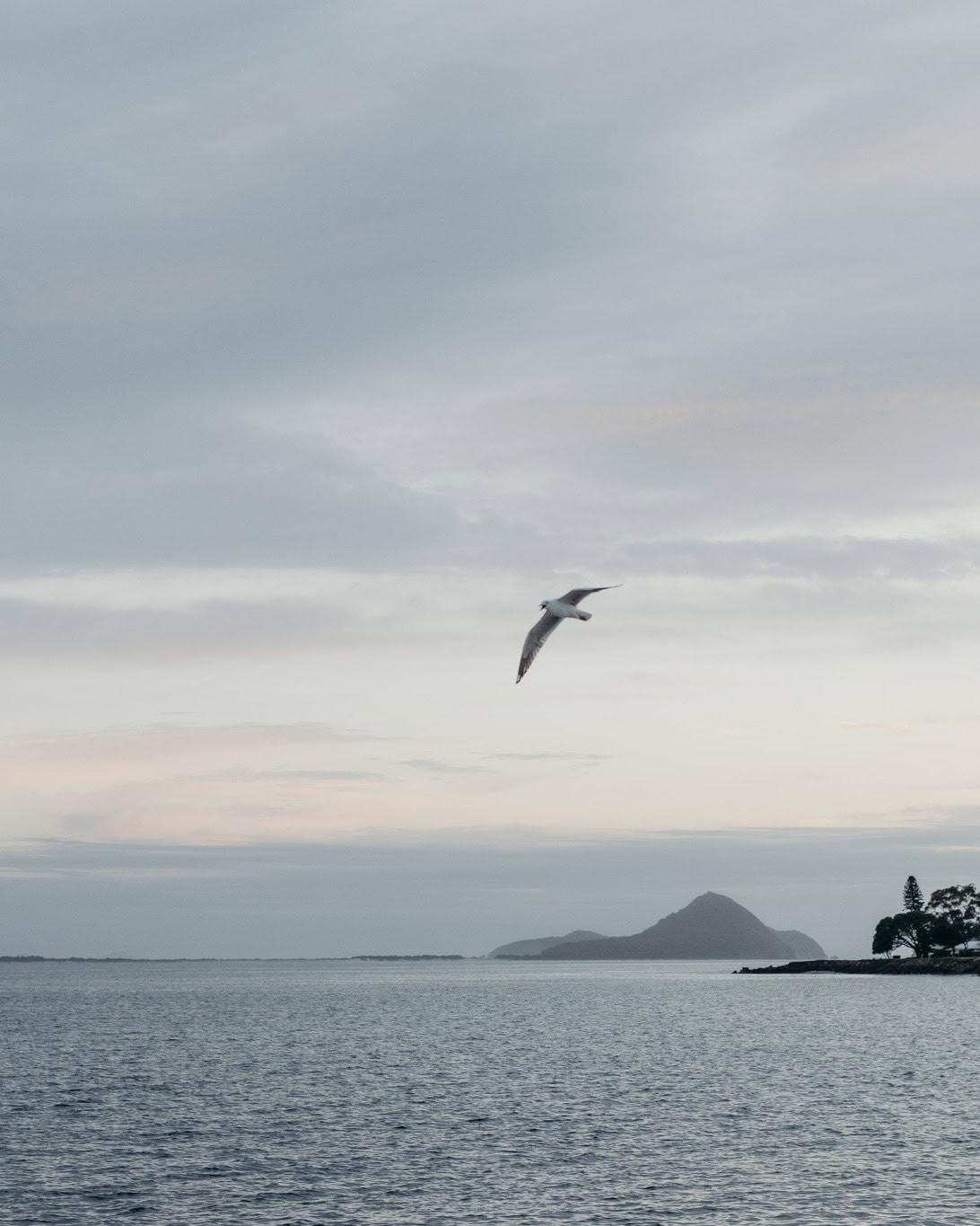the anchorage port stephens (21)